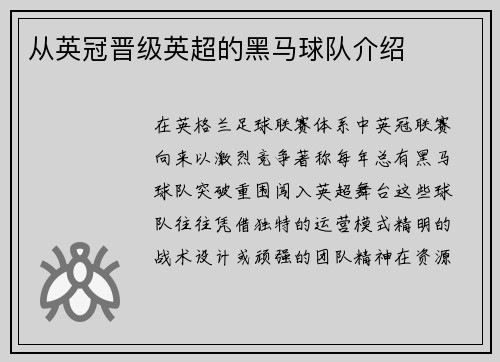 从英冠晋级英超的黑马球队介绍